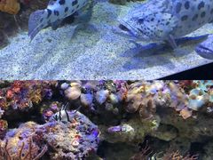 -石林冰雪海洋世界