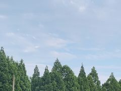 -五七小李子油焖大虾(总店)