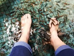 -泰国鱼疗足疗馆