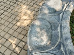 -广东圆玄道观