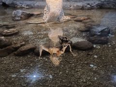 -西安曲江海洋极地公园