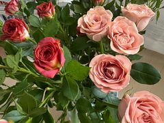 -循礼门鲜花花市(武汉循礼门店)