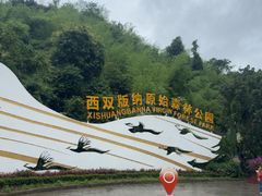 -西双版纳原始森林公园