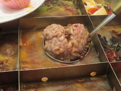 脑花-蜀九香火锅(九眼桥店)