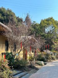 -尚圣月子会所·庄园式月子中心(萧山湘湖店)