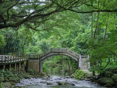 -广州市石门国家森林公园