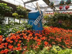 -南宫五洲植物乐园