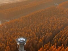 -黄海国家森林公园