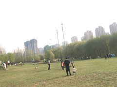 -长白岛森林公园