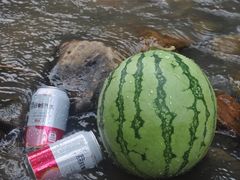 -北仑森林植物园