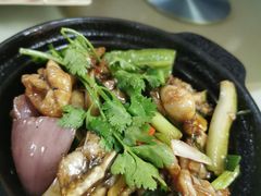 啫啫田鸡-太白餐厅•三十年老字号•坚持做现菜(体育东横街店)