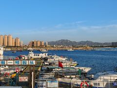 -小石岛景区