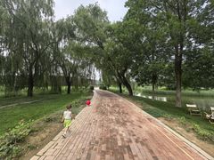 -圣露庄园·亲子活动乐园·露营·团建婚礼