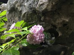 -裕兴记·三虾面(西北街总店)