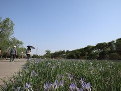 -永定河休闲森林公园