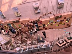 -陕西自然博物馆