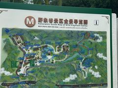 -野象谷景区