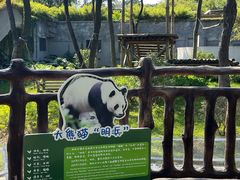 -柳州市动物园