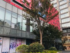 -恒生万鹂广场(唐镇店)