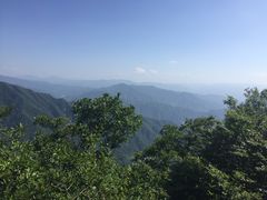 -王顺山国家森林公园