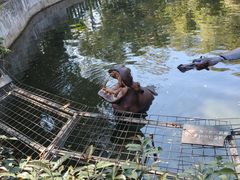 -深圳野生动物园