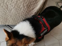 -几米咖啡(龙洲湾花园店)