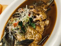 野生大黄鱼-保定会馆(秀兰店)