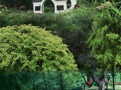 -上海共青森林公园