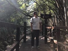 -祁门牯牛降观音堂风景区