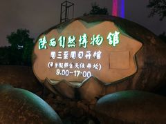 -陕西自然博物馆