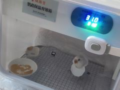 -青石桥花鸟鱼虫市场(叠翠城店)