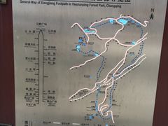 -铁山坪森林公园