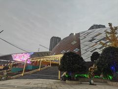 -重庆国际马戏城