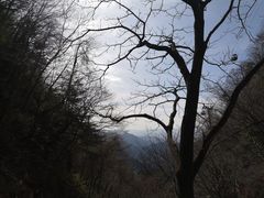 -王顺山国家森林公园