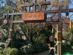 -云南民族村