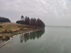 -滆湖低碳生态公园
