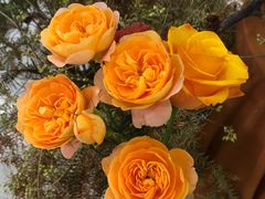 -花生FM_FLOWERS