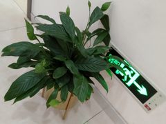 -团圆口腔·种植中心(锦江院区)
