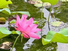 -大明宫国家遗址公园·御道广场