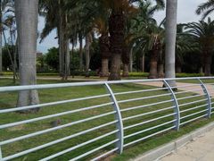 景点-白鹭洲公园