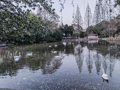 -莫愁湖公园