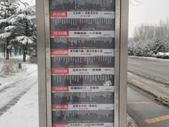 -大兴滨河森林公园