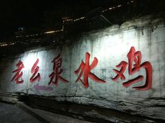 -老幺泉水鸡