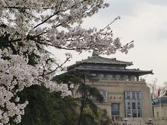 -武汉大学-樱园