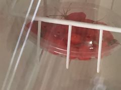 -百瑞源枸杞(玉皇阁店)