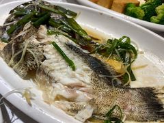 -大荣华酒楼(元朗老店)