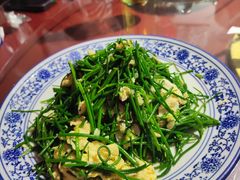 -范记靖远羊羔肉(博物馆店)