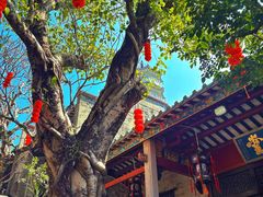-国恩寺