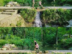 -素山寺森林公园