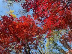 -本溪老边沟风景区
